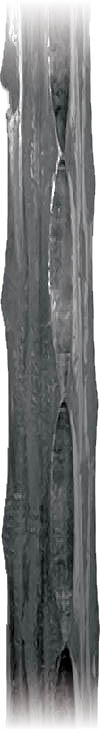 (image for) Square Hammered Hollow - 5/8"