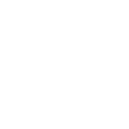 Delivery trucks